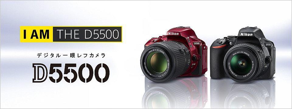 d5500のmain