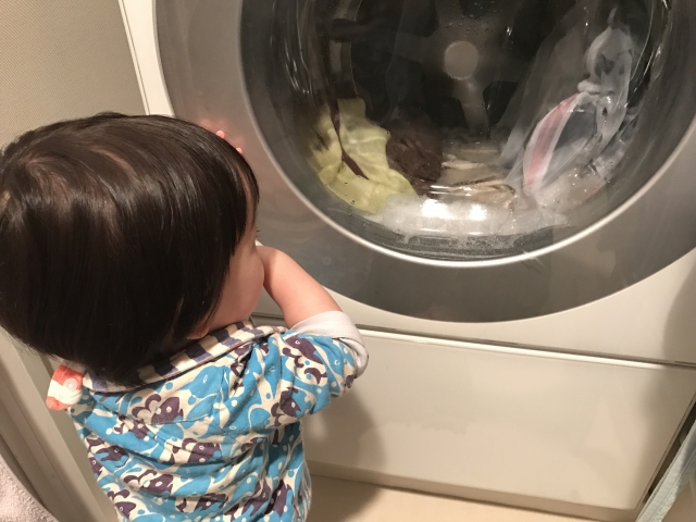 洗濯機を見ている子どもの写真