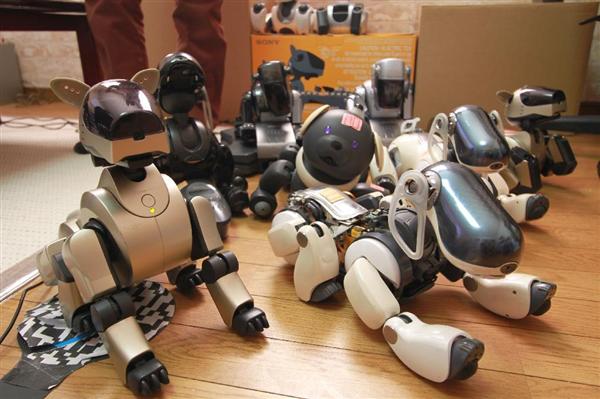 Aibo あんなに話題だった小型犬ロボットの今 ロボットの域を超え家族に